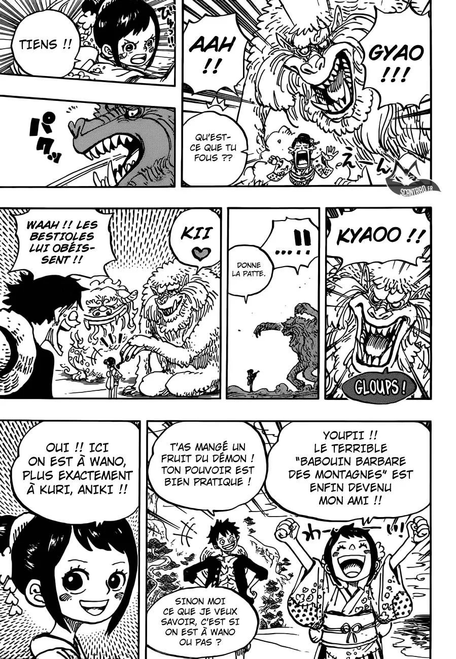 One Piece - 911 - 6550e295653c9.webp