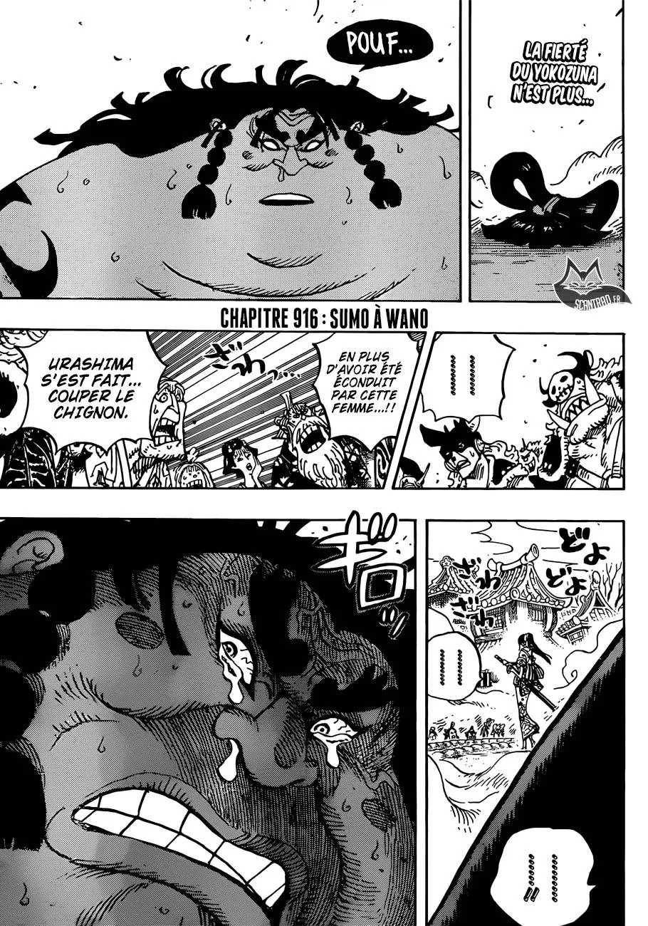 One Piece - 916 - 6550e2b2b99cb.webp