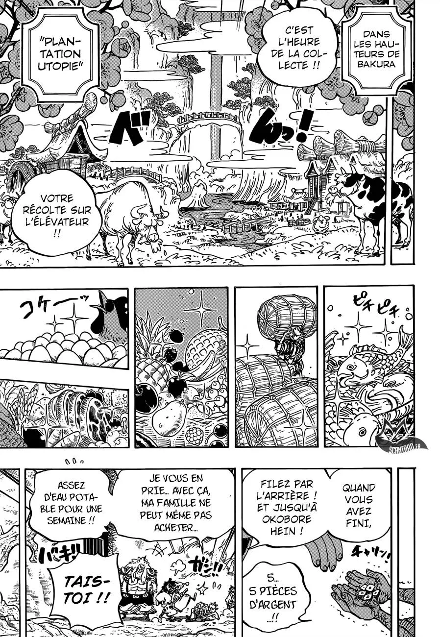 One Piece - 917 - 6550e2b840d0c.webp