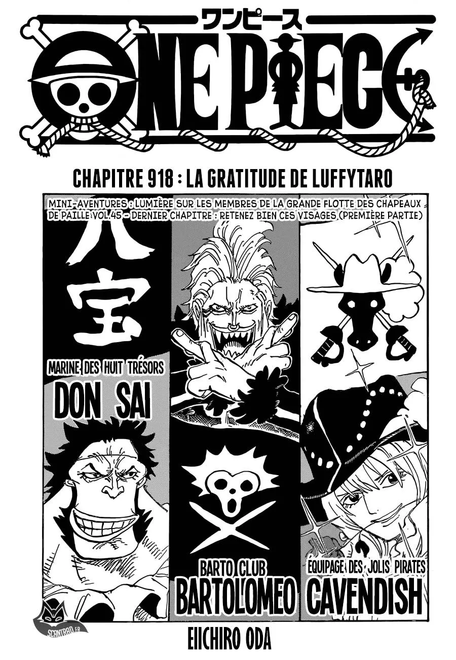 One Piece - 918 - 6550e2bce7c63.webp