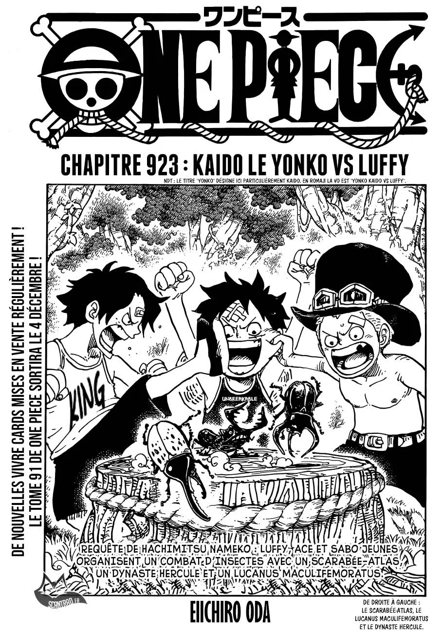 One Piece - 923 - 6550e2d7e1420.webp