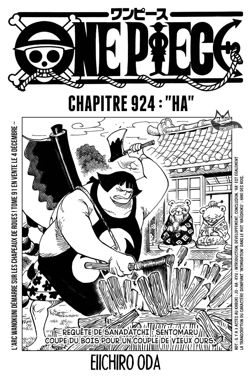 One Piece - 924 - 6550e2dbb8abb.webp