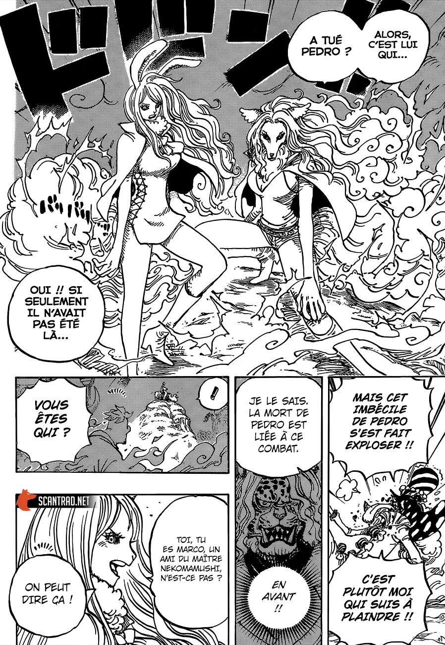 One Piece - 995 - 6550e44795c39.webp