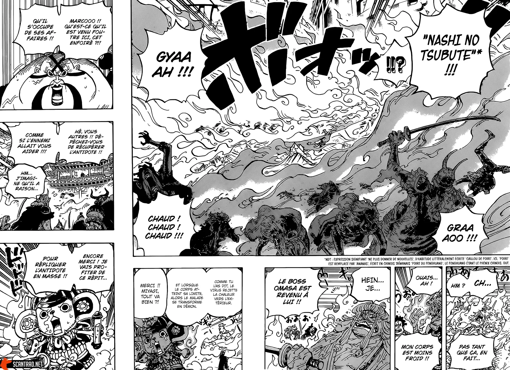 One Piece - 998 - 6550e454da841.webp