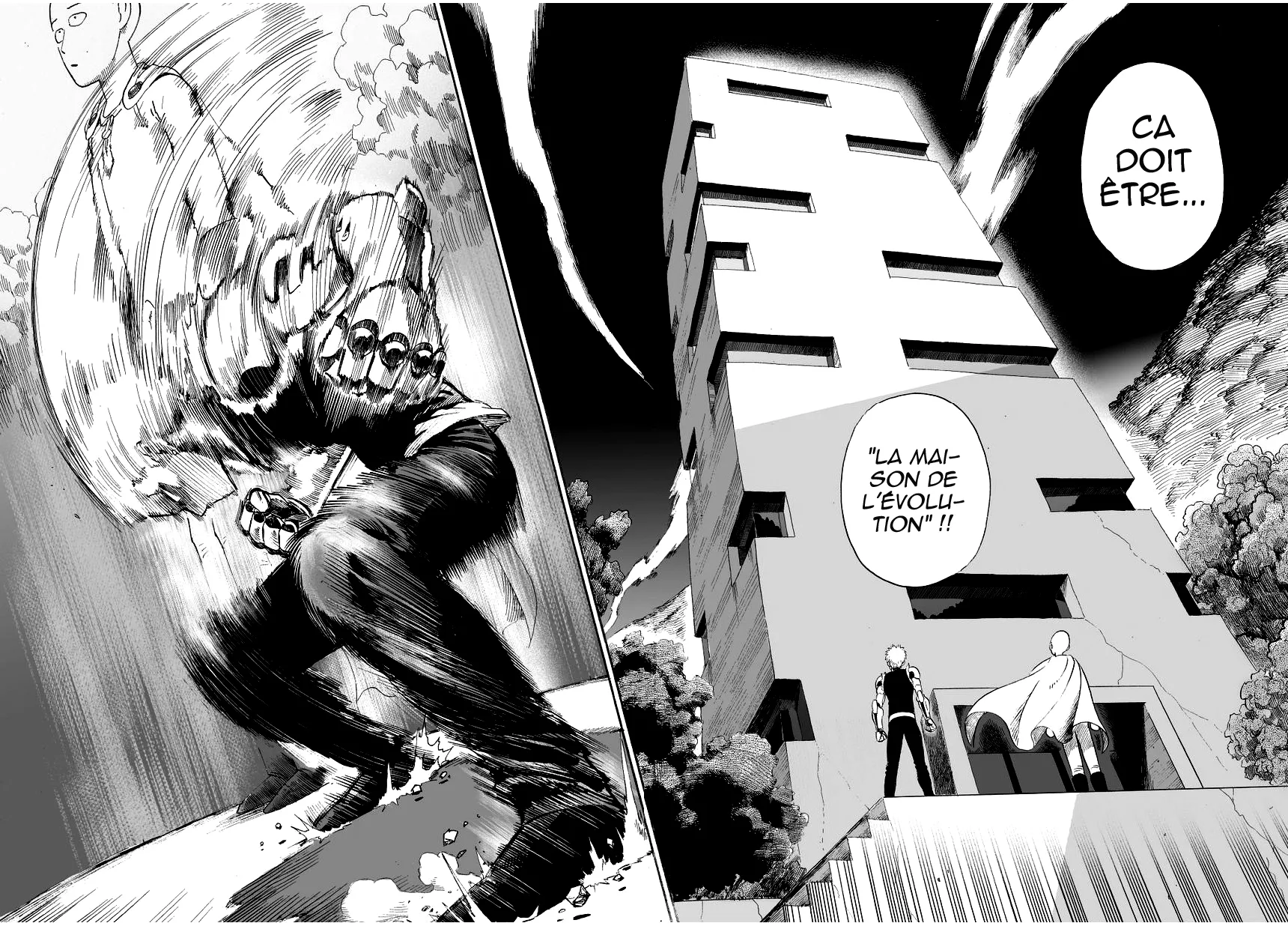 One Punch Man - 10 - 655141c97f883.webp