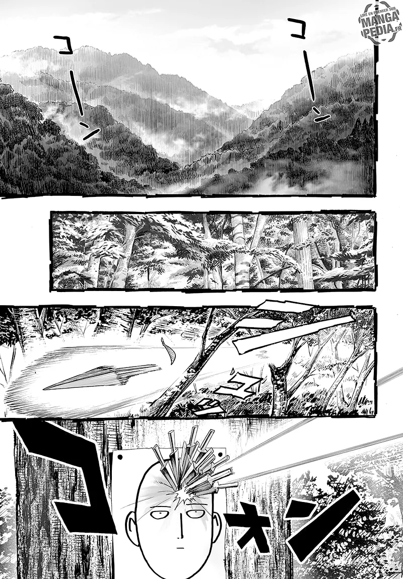 One Punch Man - 133 - 65514276d8334.webp