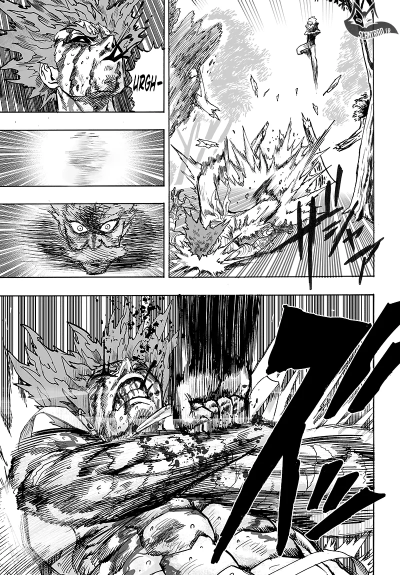 One Punch Man - 139 - 655142b6eb7dd.webp