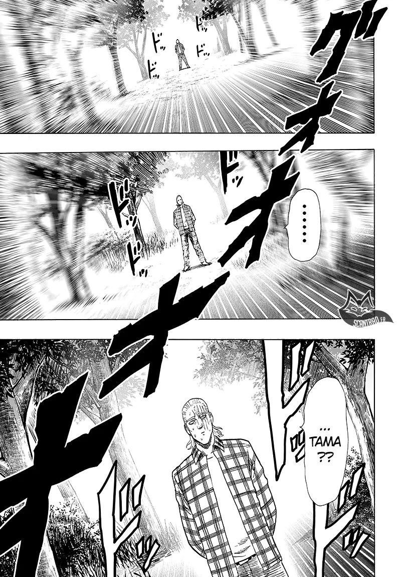 One Punch Man - 139 - 655142cf7d95d.webp