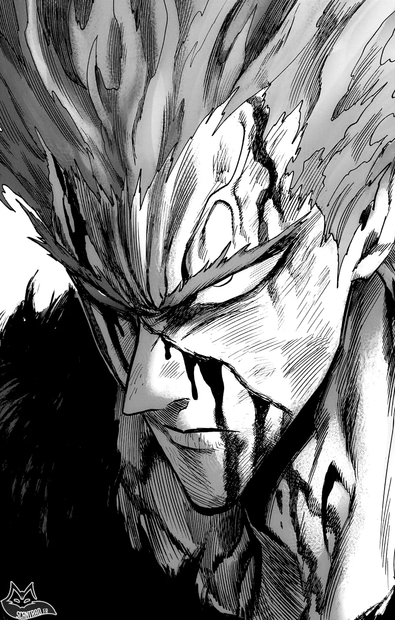 One Punch Man - 144 - 6551430d54c25.webp