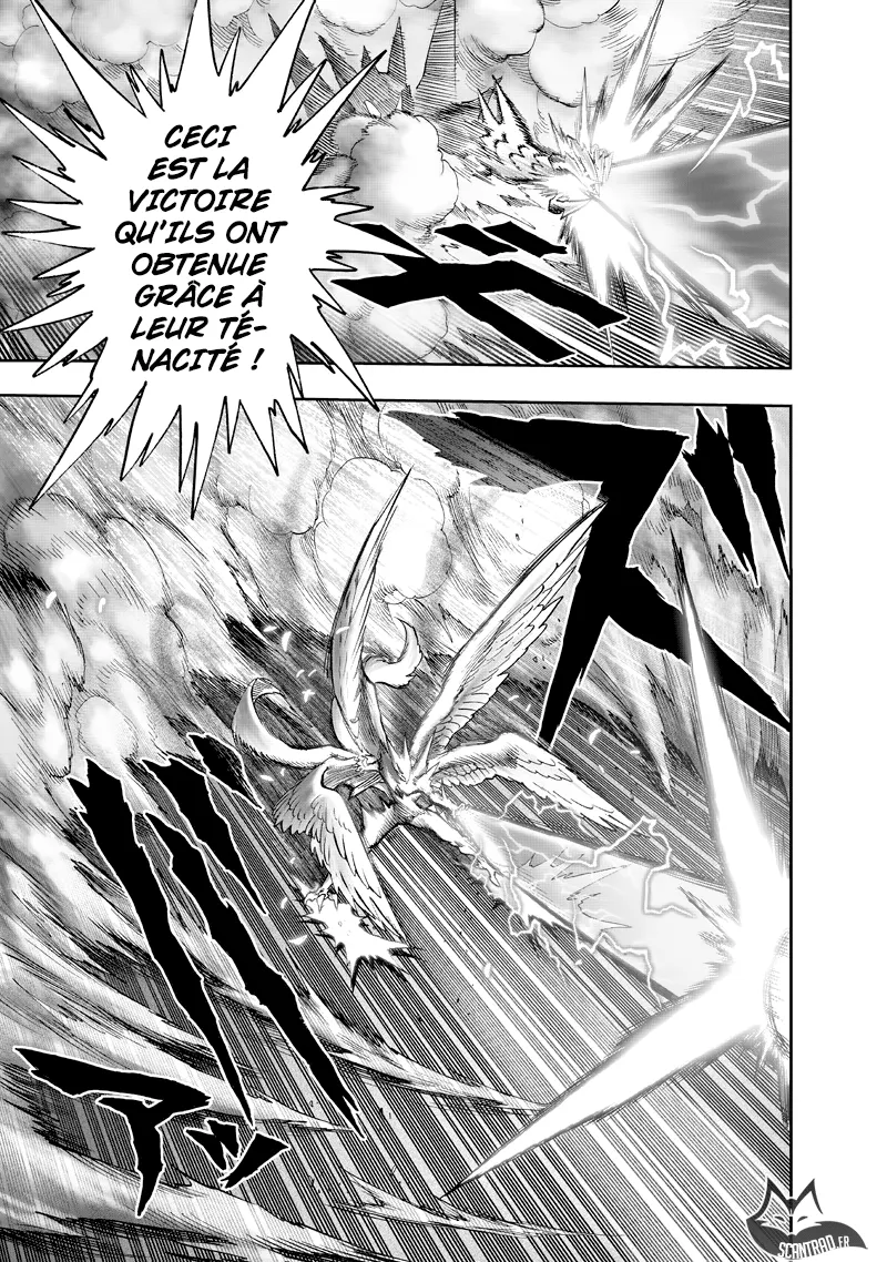 One Punch Man - 156 - 655143a2dbb45.webp
