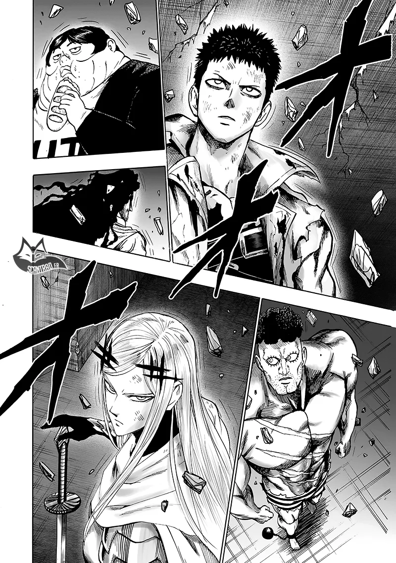 One Punch Man - 162 - 655143d7dcd9a.webp