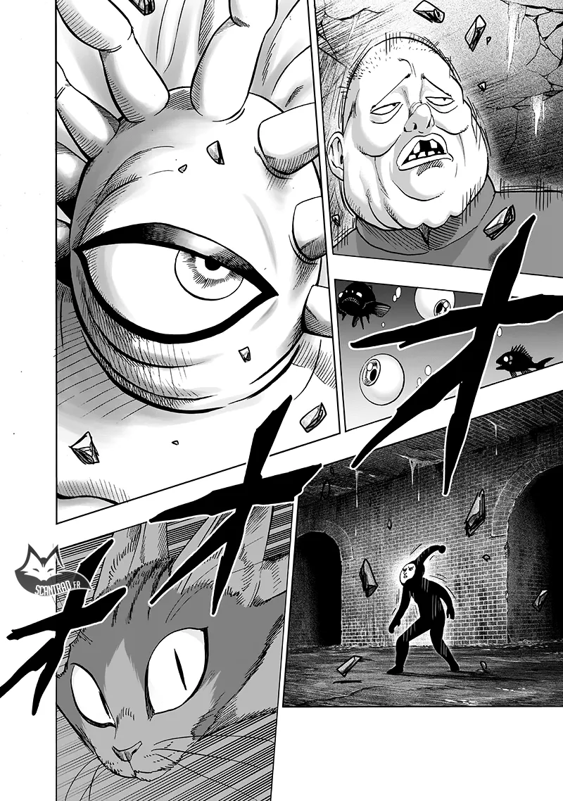 One Punch Man - 162 - 655143d85203f.webp