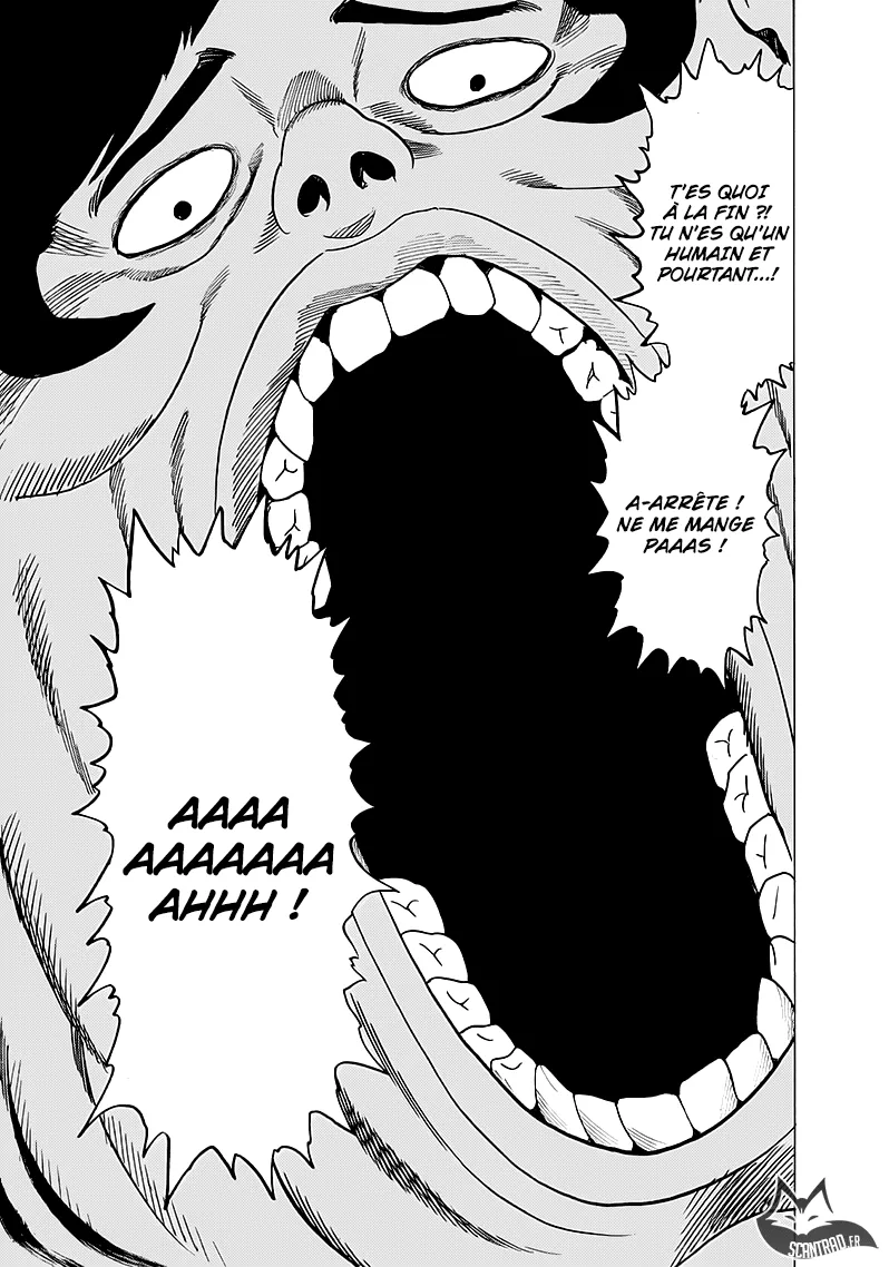 One Punch Man - 170 - 65514407e463b.webp