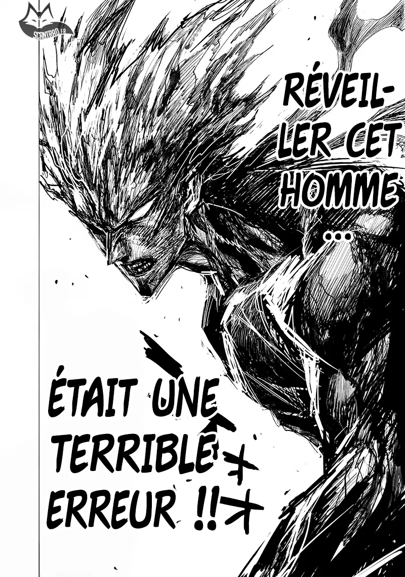 One Punch Man - 171 - 6551440e6be04.webp