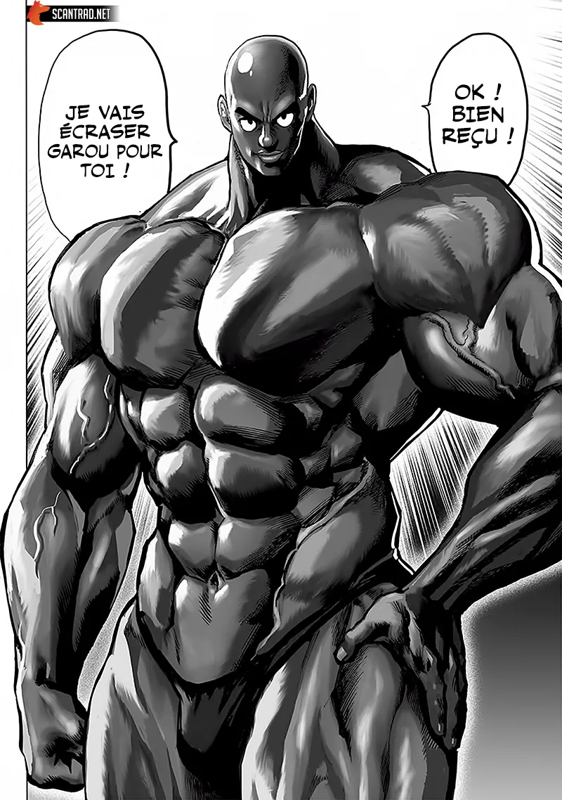 One Punch Man - 177 - 6551442d8ddcd.webp