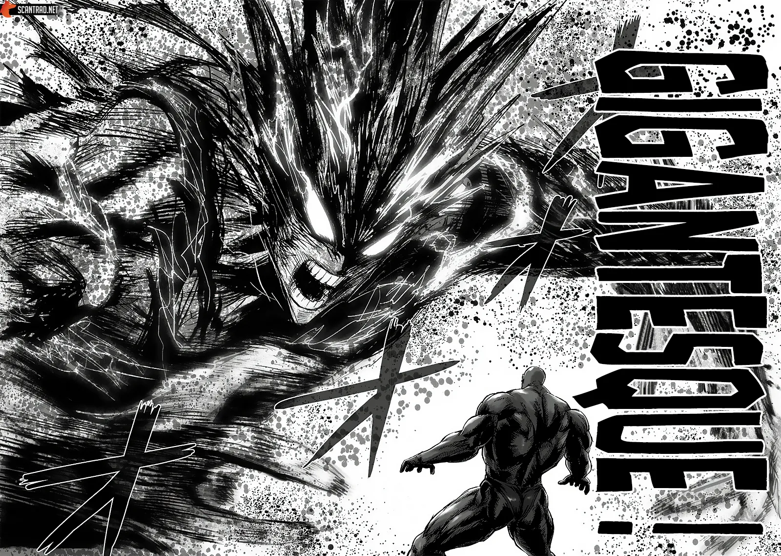 One Punch Man - 185 - 6551446ddb404.webp