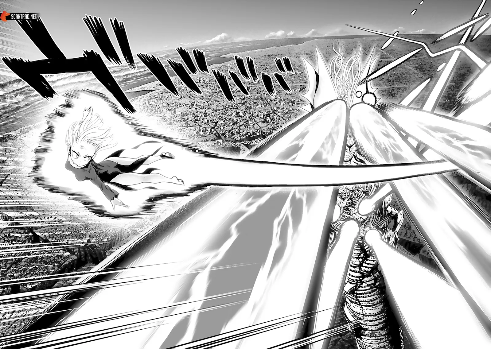 One Punch Man - 189 - 65514480c6a05.webp
