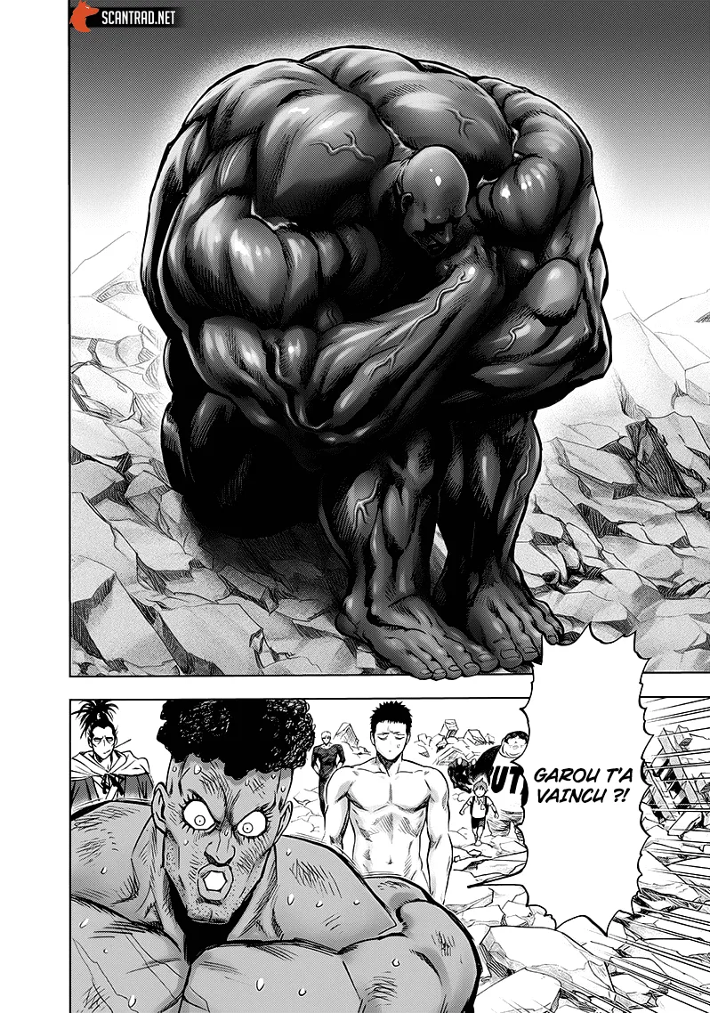 One Punch Man - 193 - 6551449aa2aa0.webp