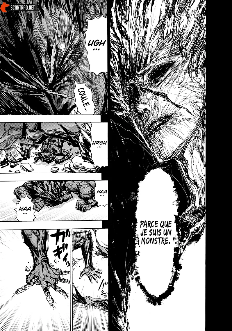 One Punch Man - 193 - 6551449cdae3d.webp