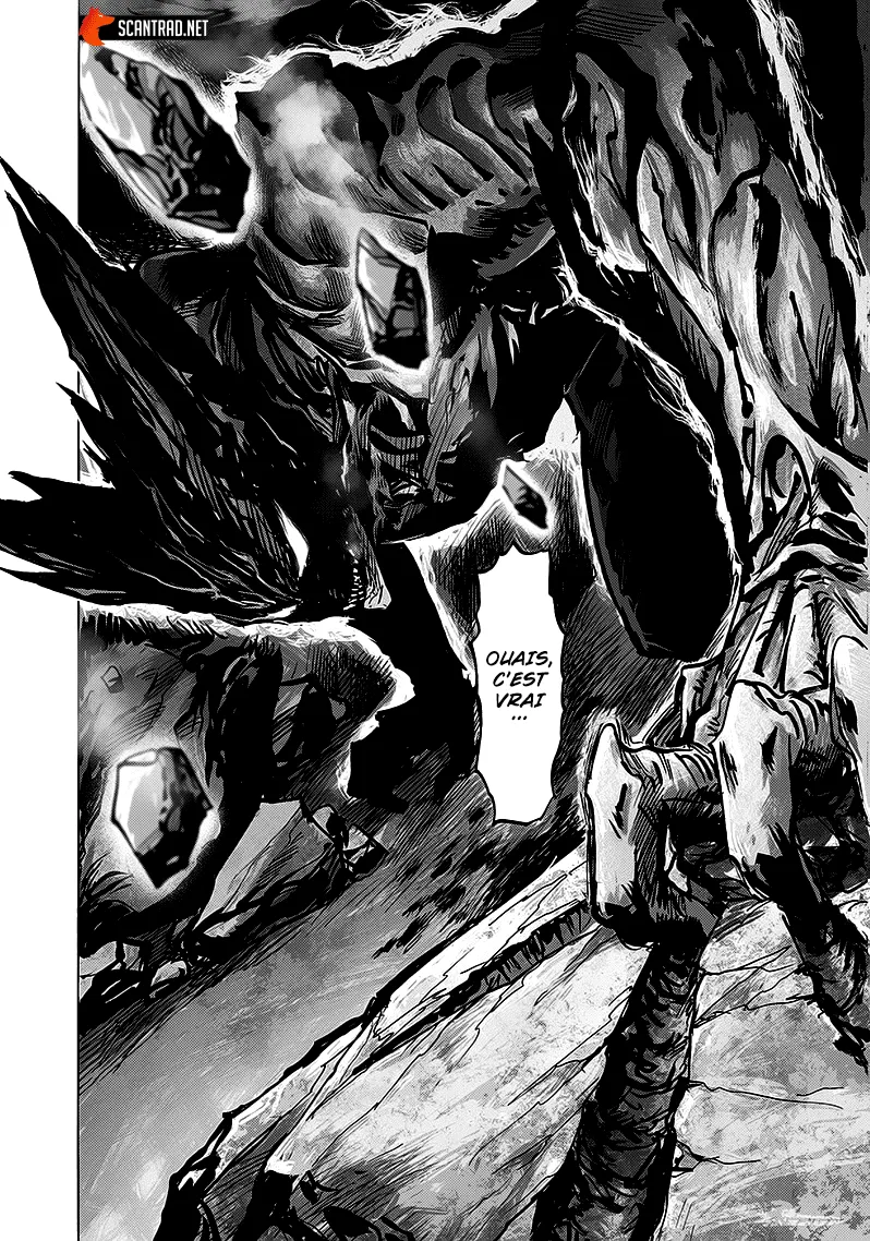 One Punch Man - 193 - 6551449d1eff6.webp