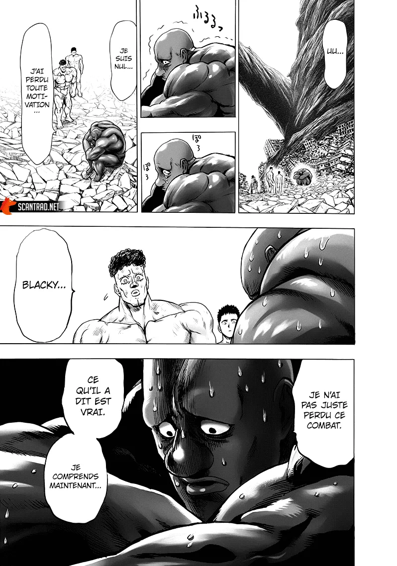 One Punch Man - 193 - 6551449d4a123.webp