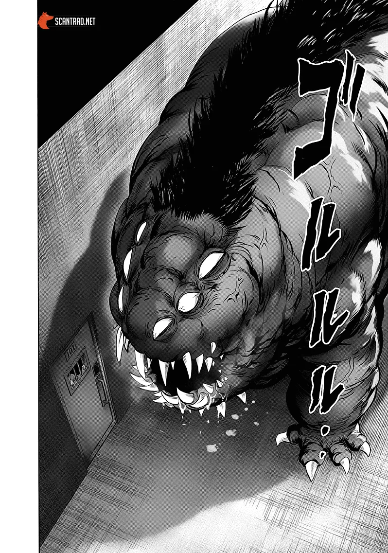 One Punch Man - 194 - 655144a39e2e1.webp