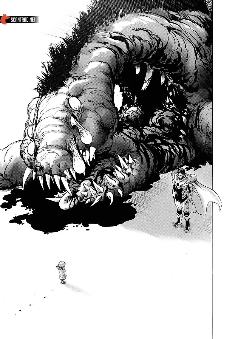 One Punch Man - 194 - 655144a437d12.webp