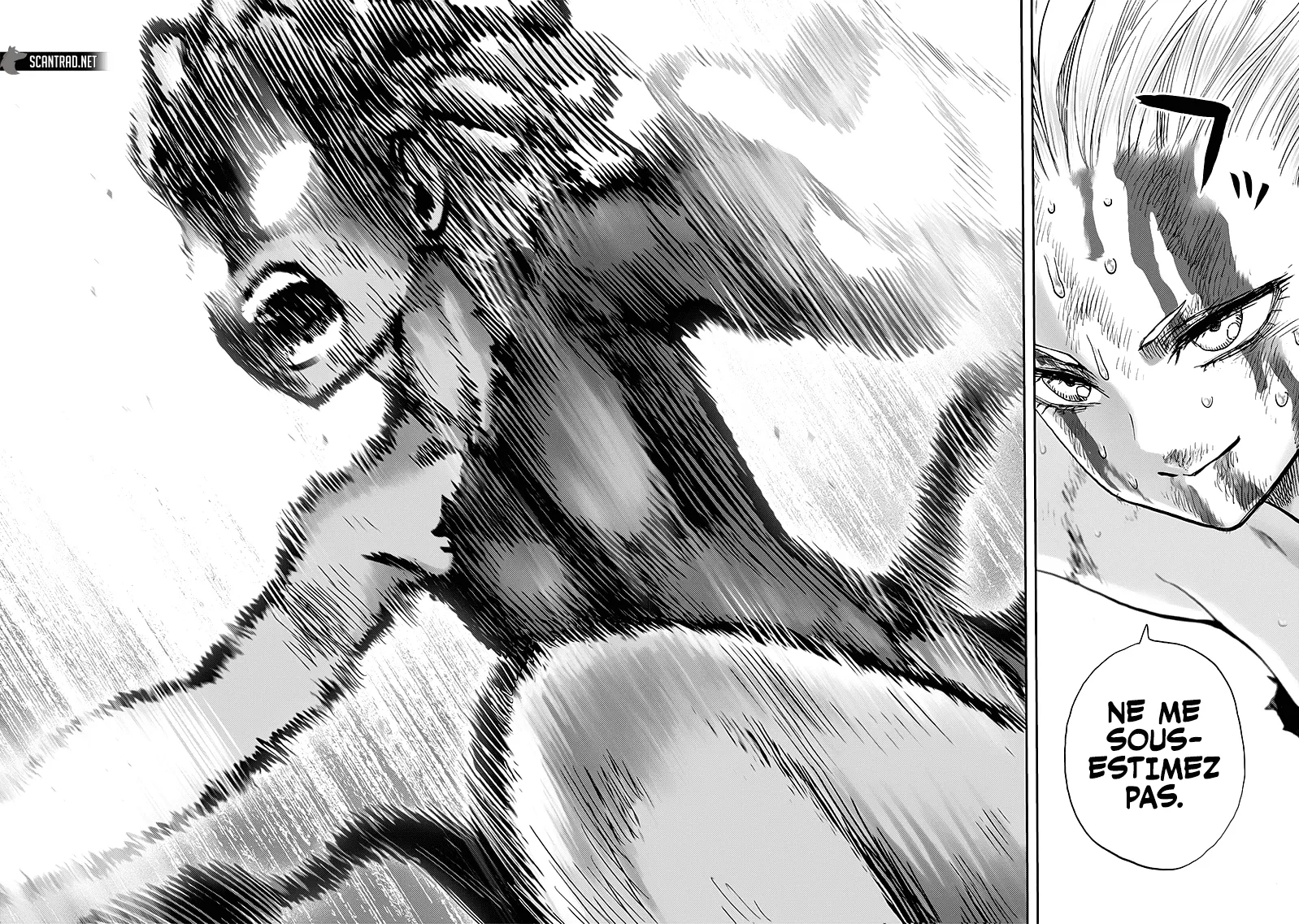 One Punch Man - 194 - 655144a5a5994.webp