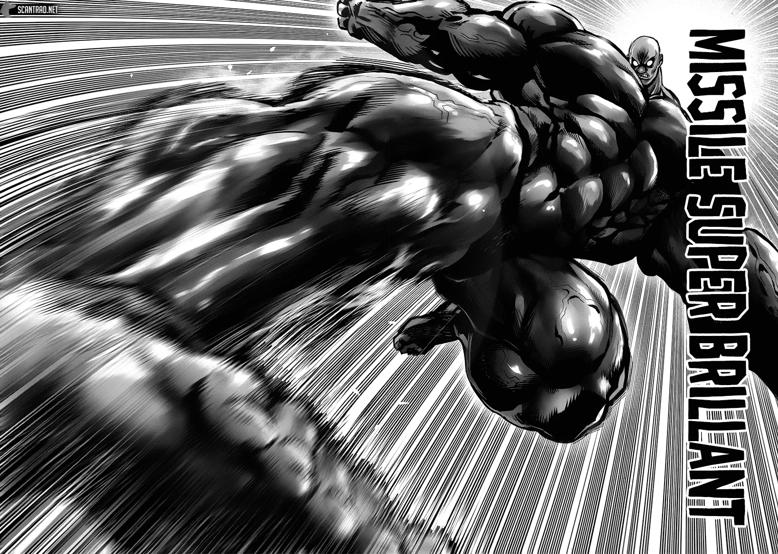One Punch Man - 195 - 655144ad69b7f.webp