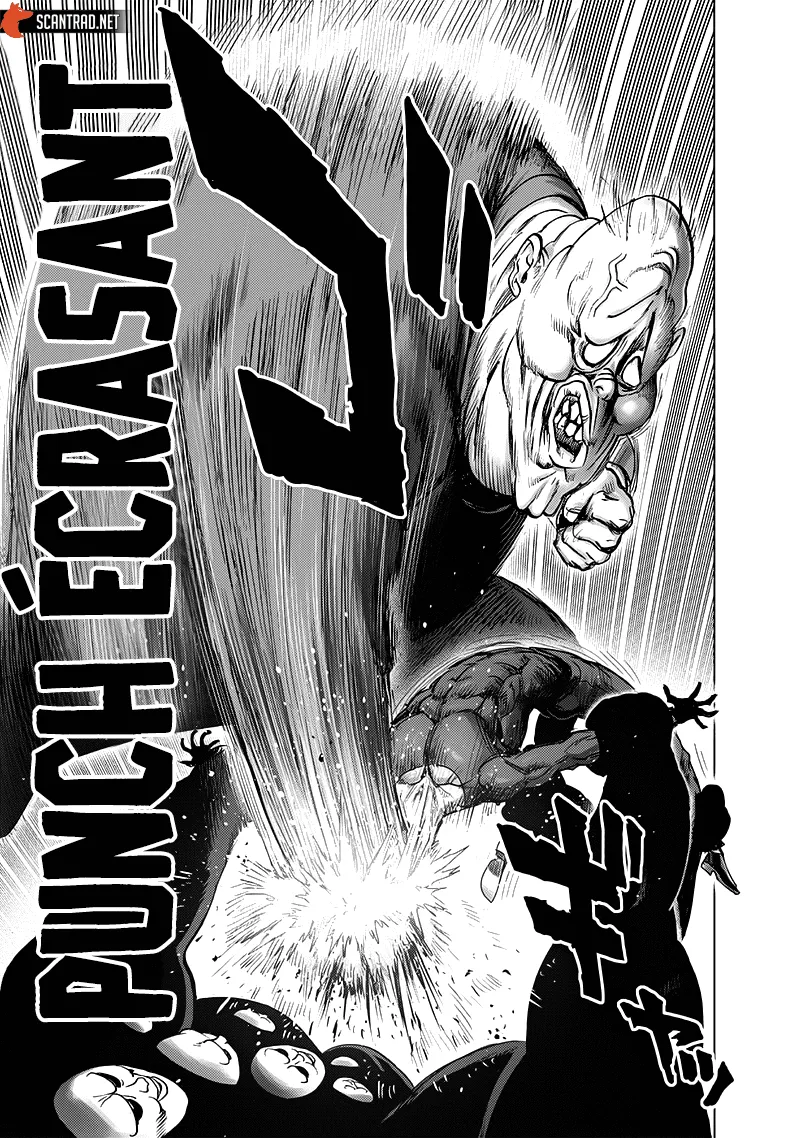 One Punch Man - 198 - 655144be2afa2.webp