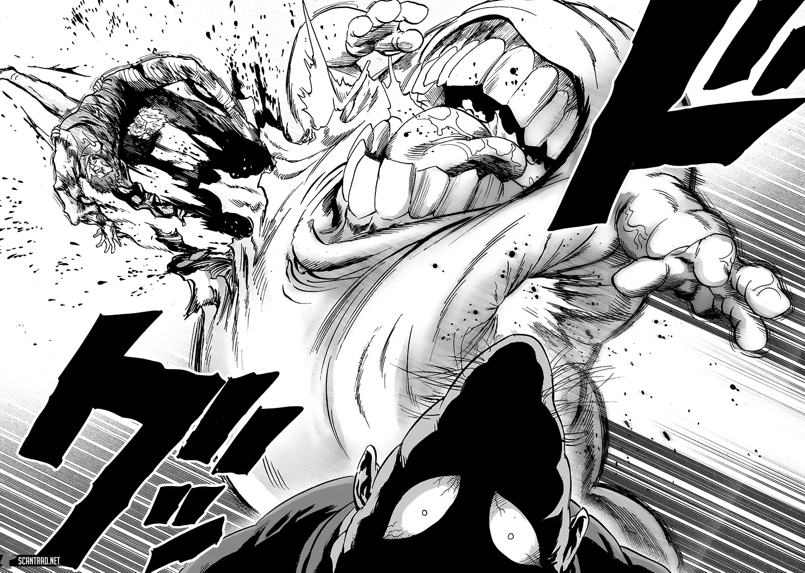 One Punch Man - 201 - 655144cd4f69b.webp