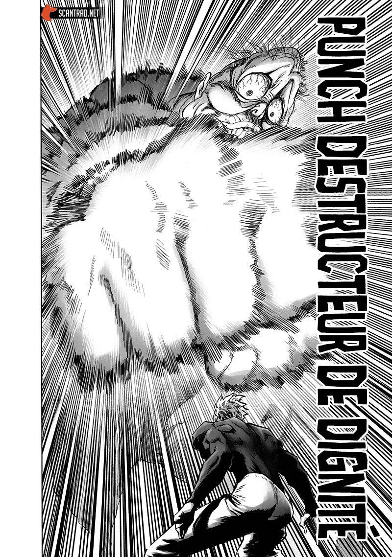 One Punch Man - 201 - 655144cf5091c.webp