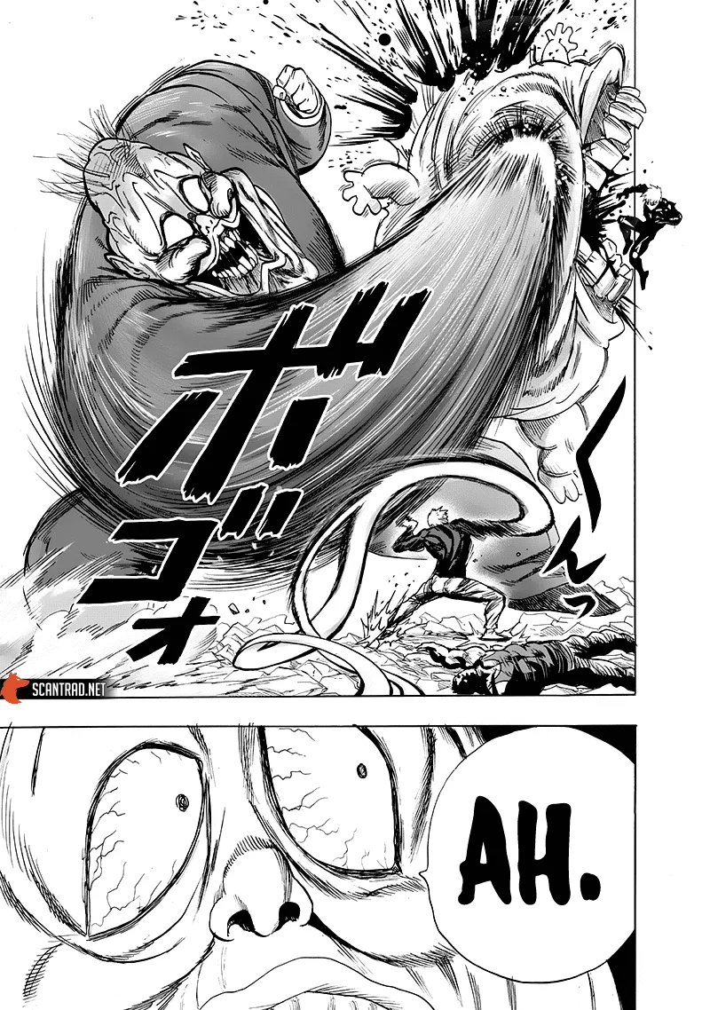 One Punch Man - 201 - 655144cf84ba0.webp