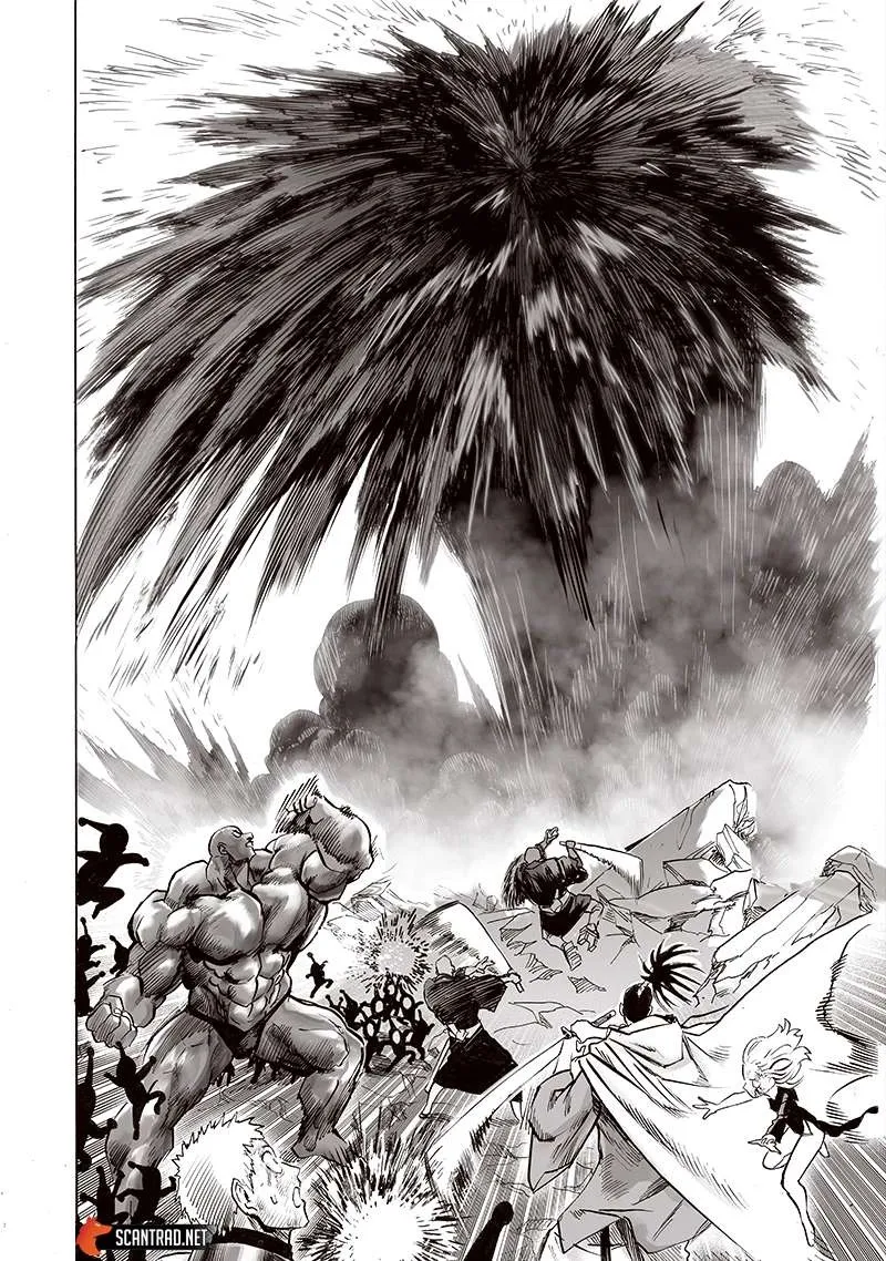 One Punch Man - 204 - 655144dcf0aa5.webp