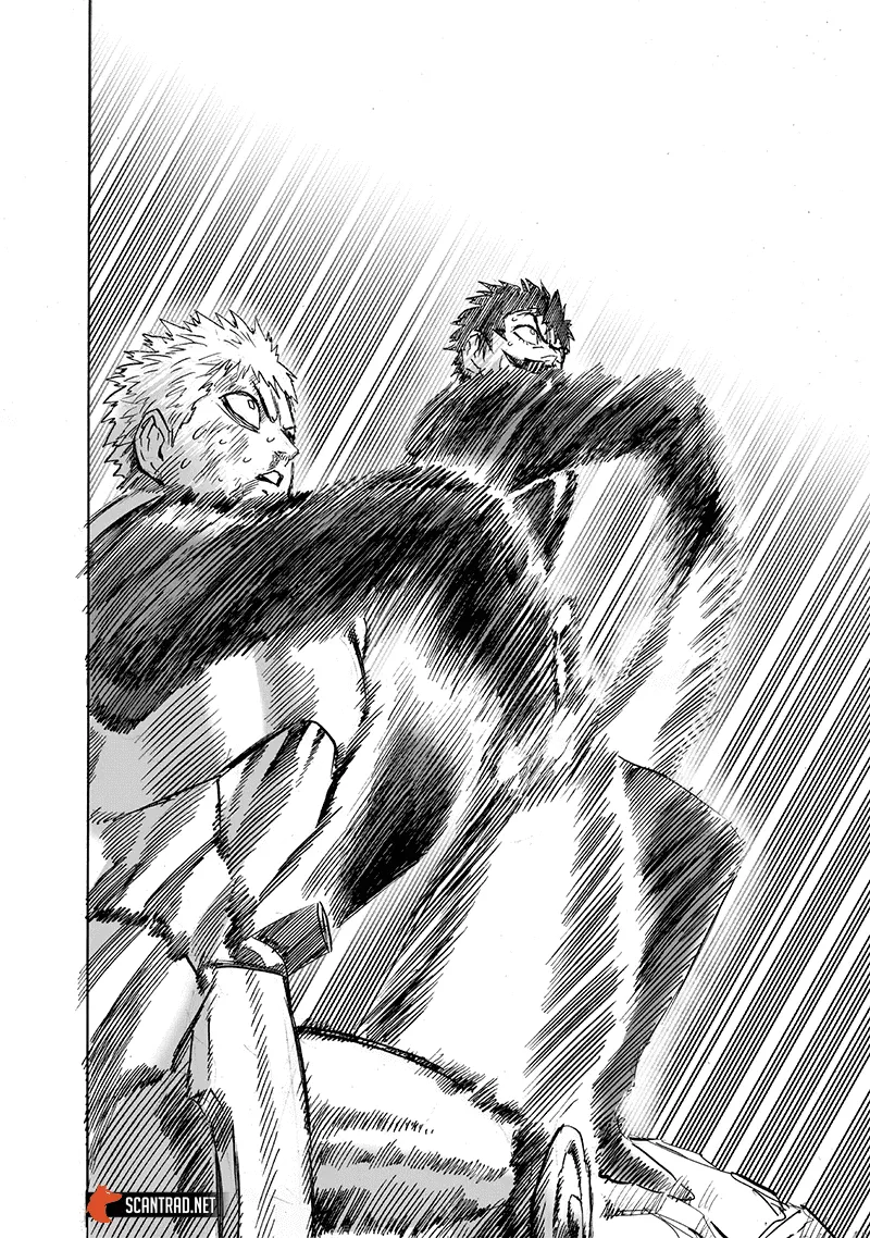 One Punch Man - 206 - 655144eb726d0.webp