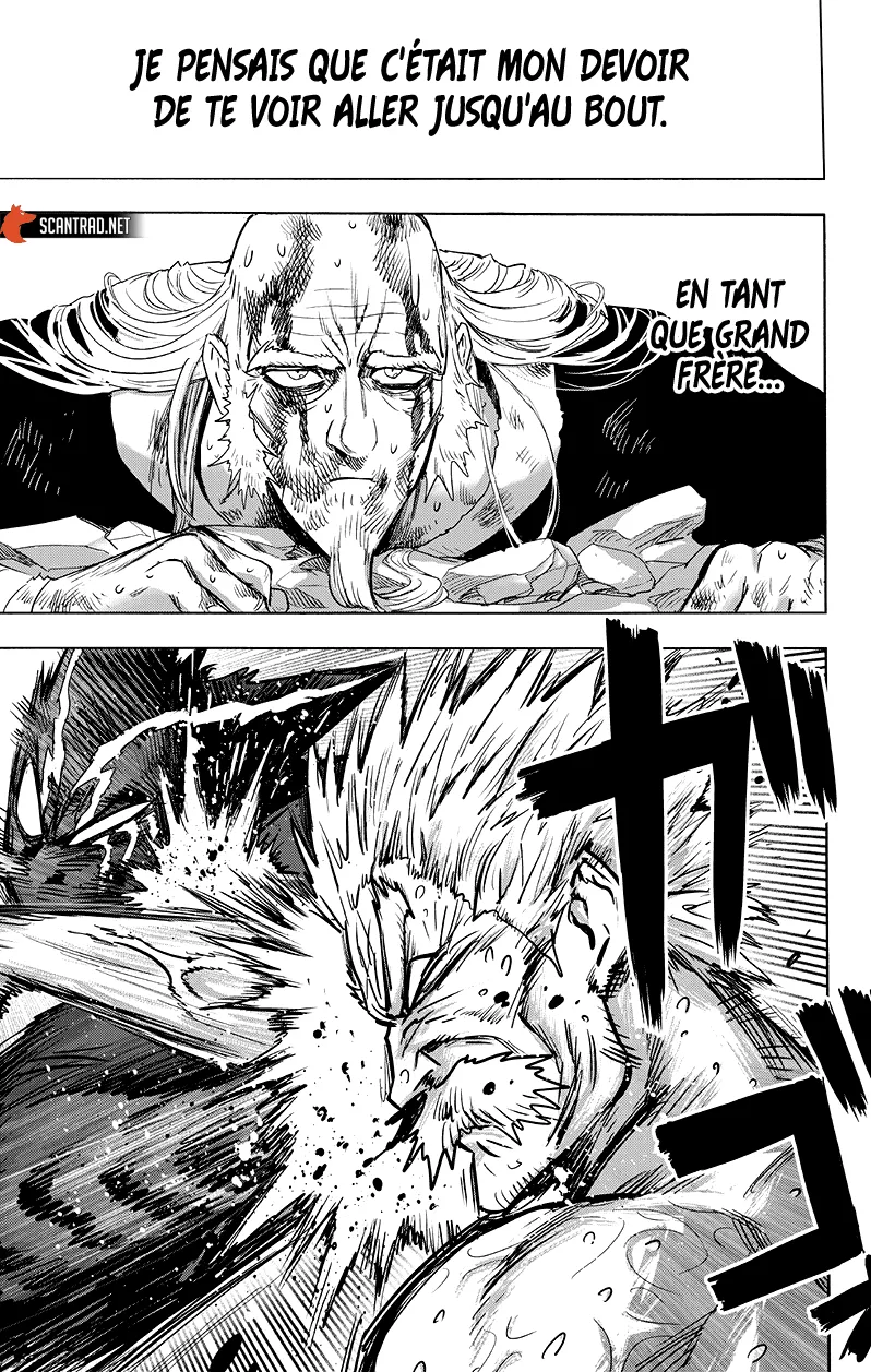 One Punch Man - 207 - 655144f184571.webp