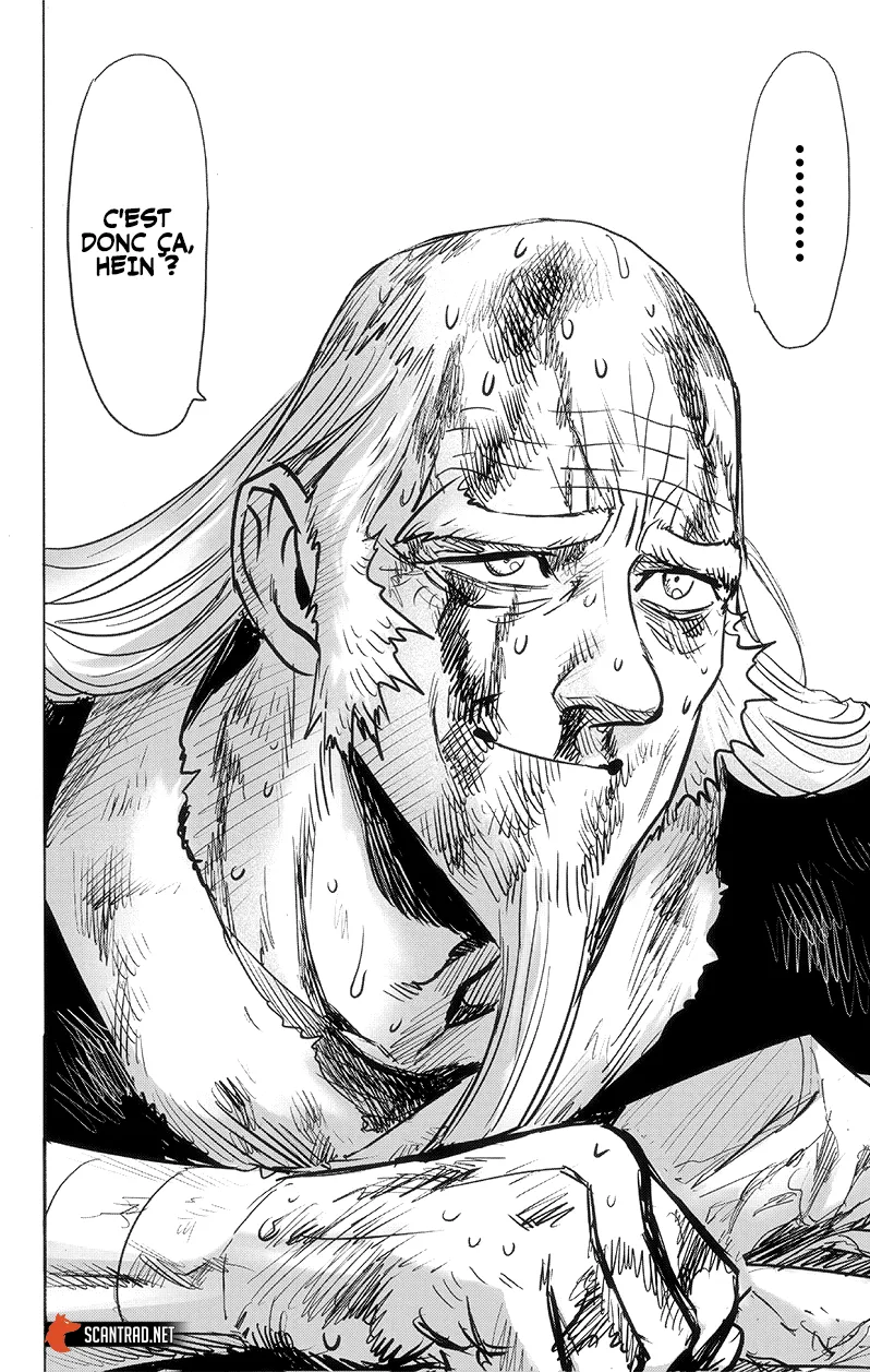 One Punch Man - 207 - 655144f243305.webp