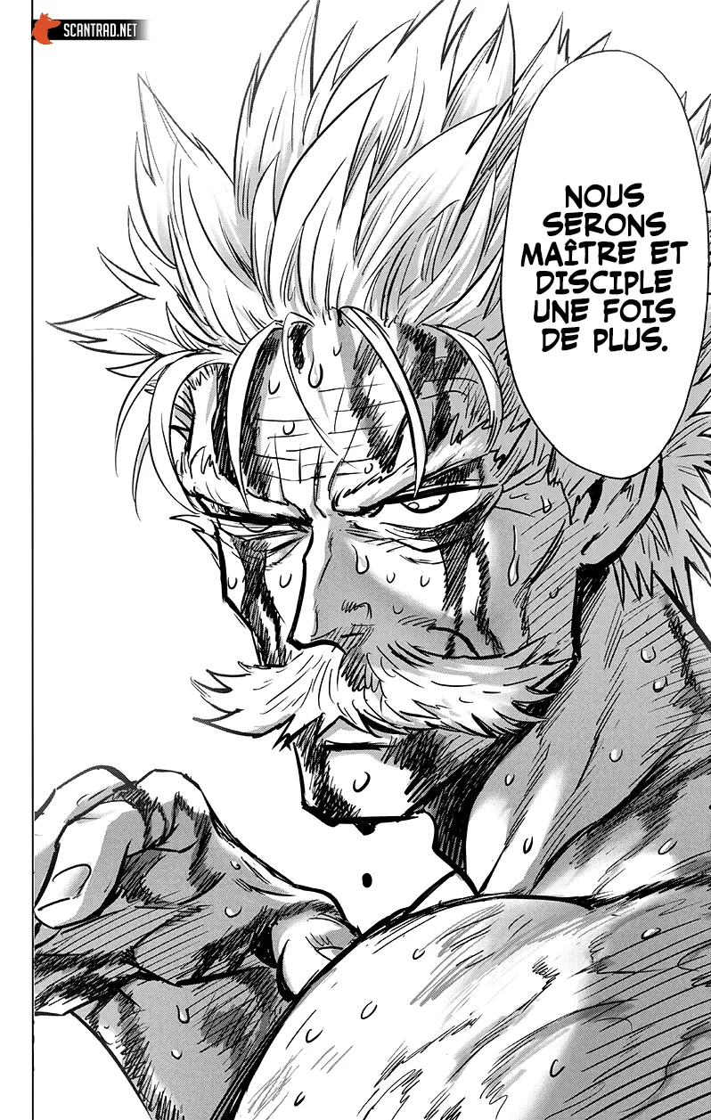 One Punch Man - 207 - 655144f38dac6.webp