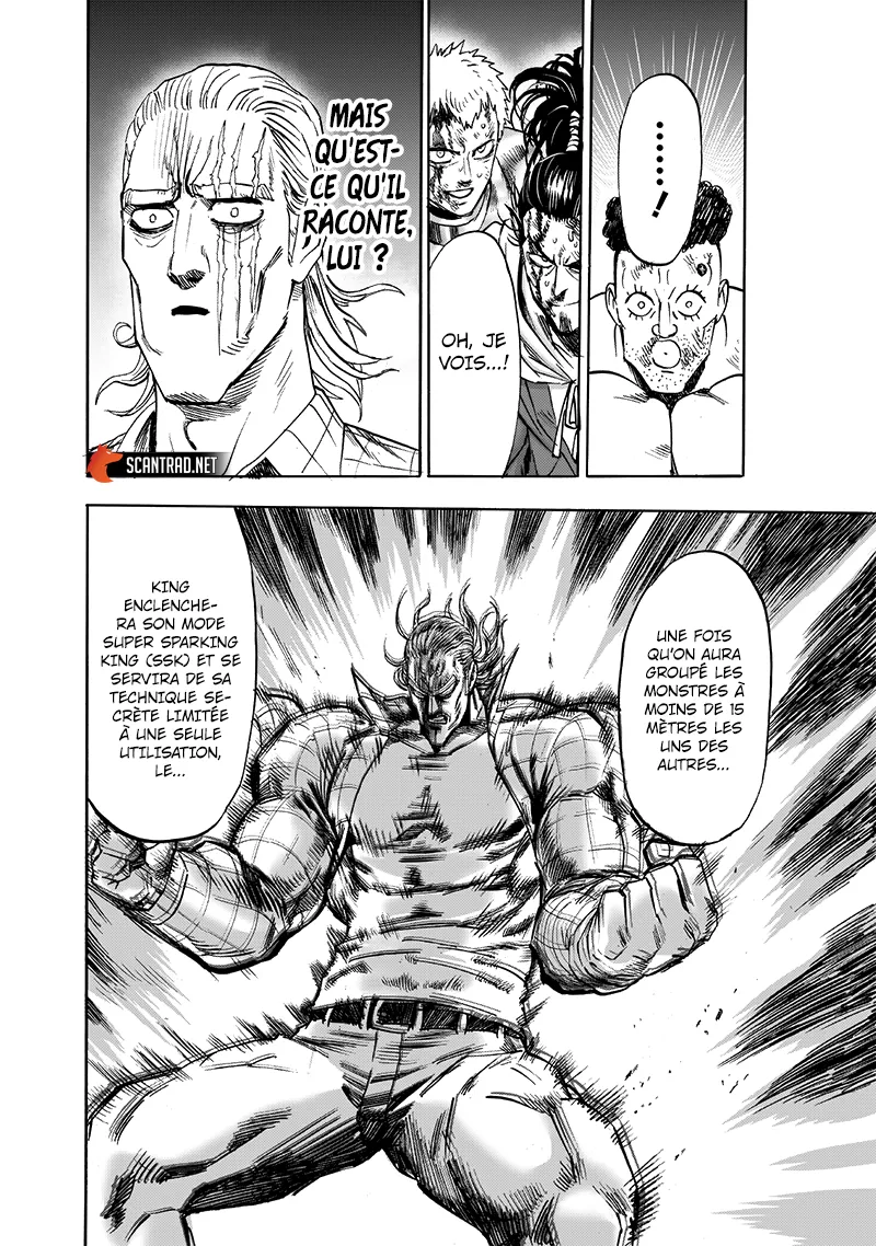 One Punch Man - 209 - 655145036af5d.webp