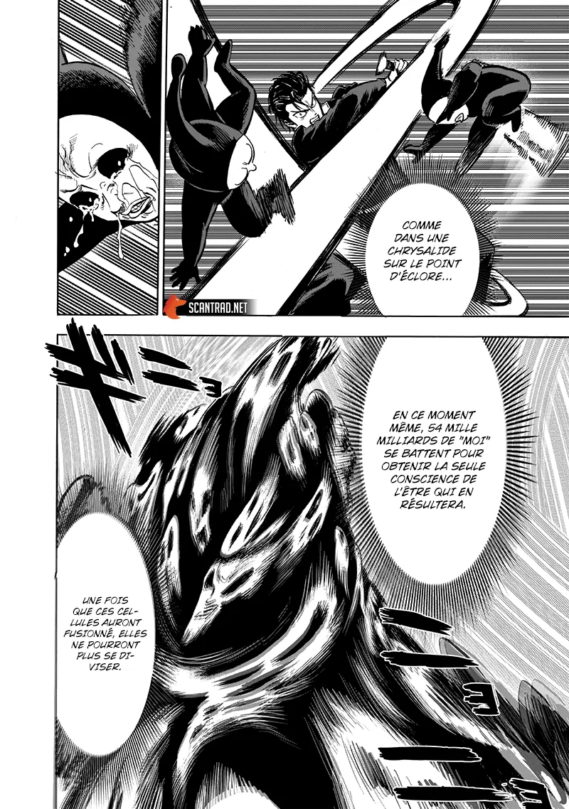 One Punch Man - 209 - 65514505954c2.webp