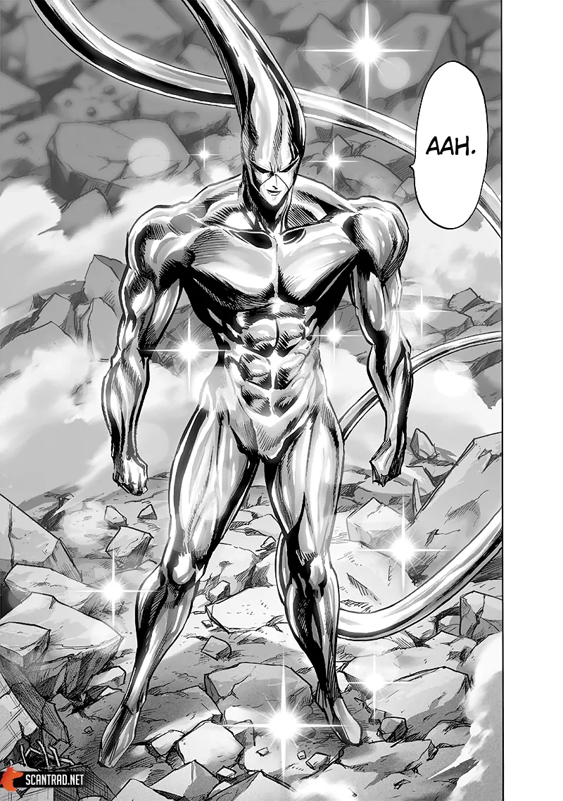 One Punch Man - 211 - 65514514e30e2.webp