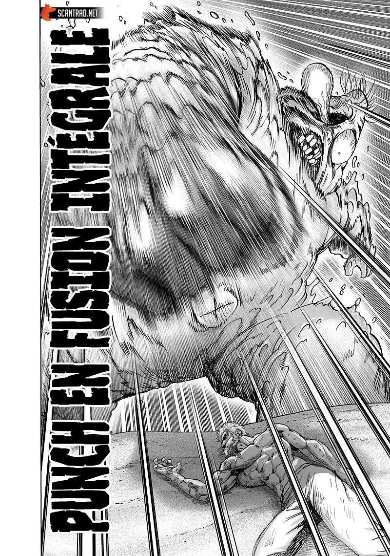 One Punch Man - 211 - 655145178b31a.webp