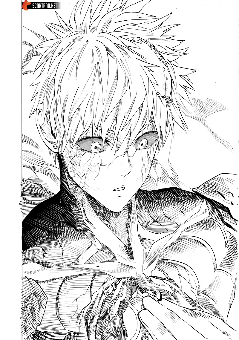 One Punch Man - 212 - 65514521506d9.webp