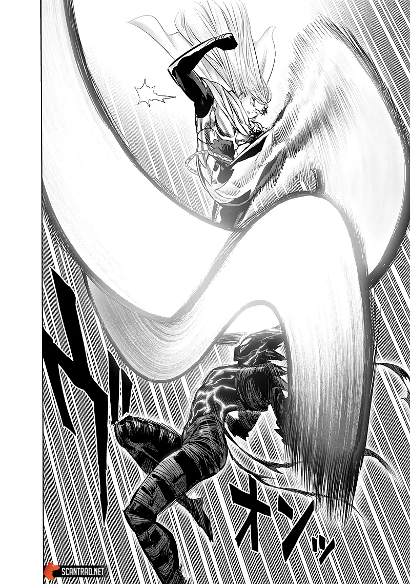 One Punch Man - 213 - 655145271f8d2.webp