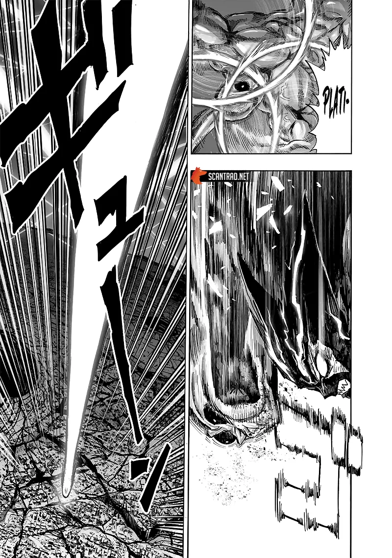 One Punch Man - 213 - 65514529019a8.webp