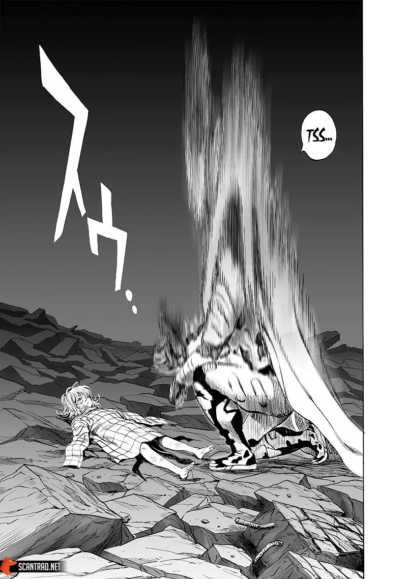 One Punch Man - 213 - 6551452ae7f21.webp