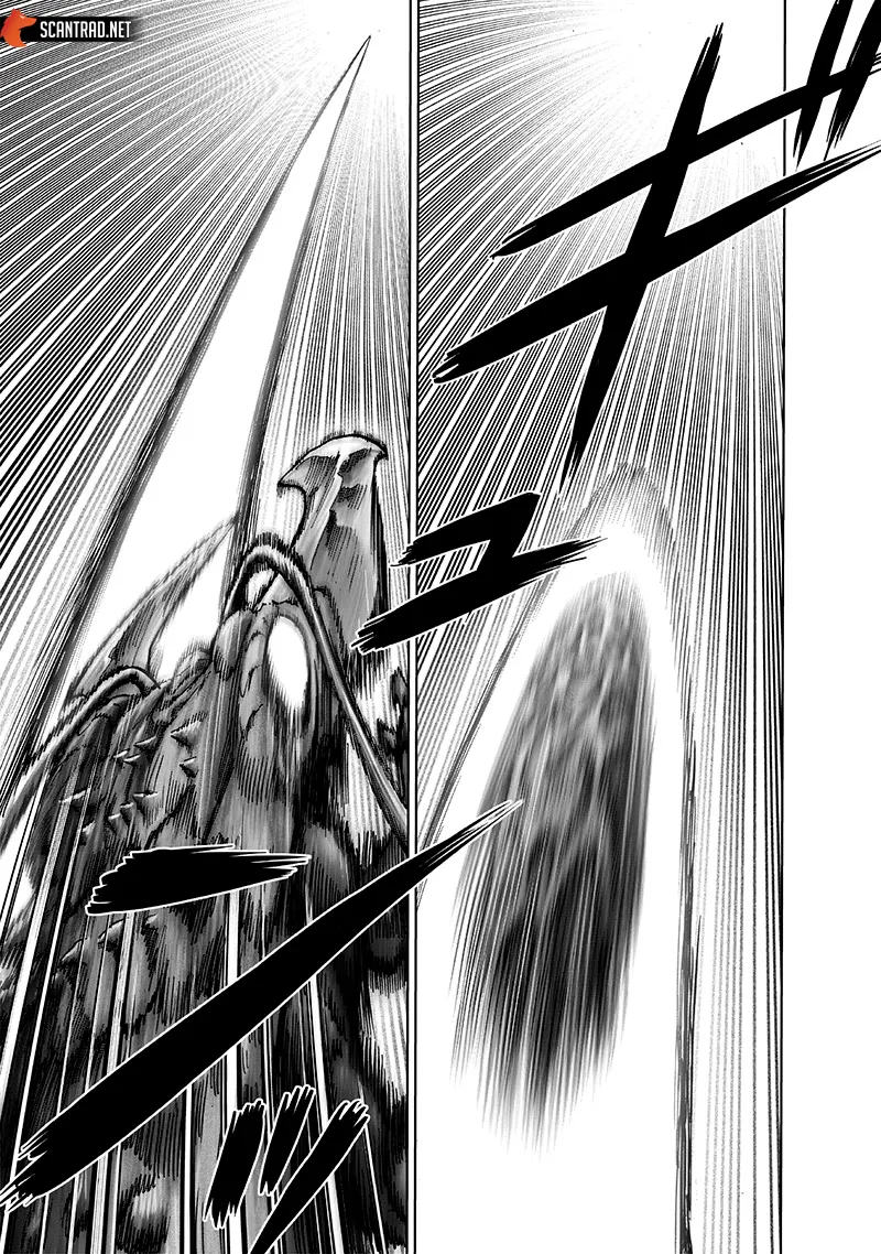 One Punch Man - 216 - 655145421f5bf.webp