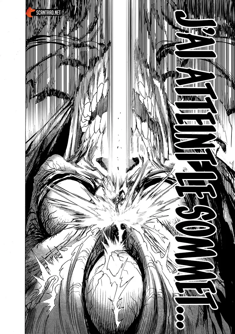 One Punch Man - 216 - 655145446ed6a.webp