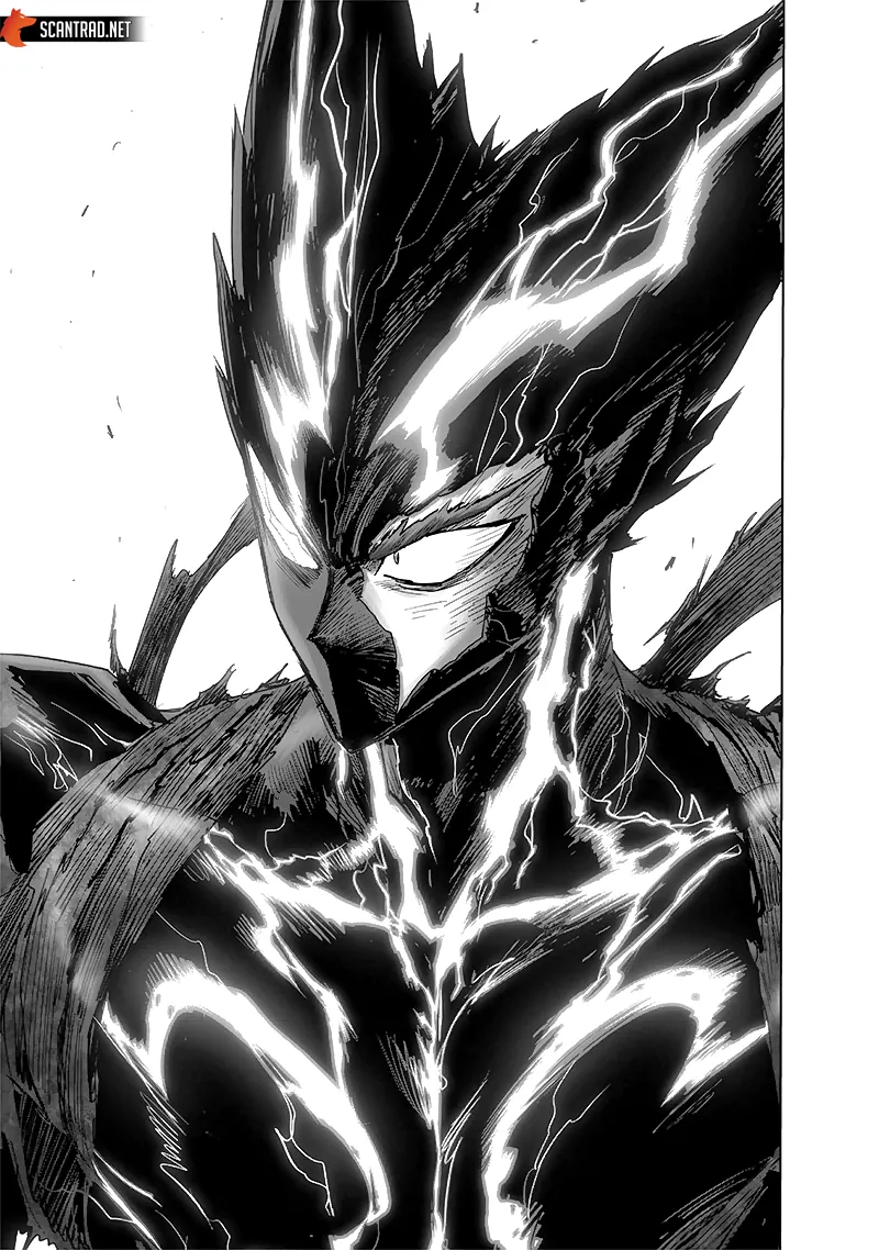 One Punch Man - 217 - 6551454c04a1c.webp