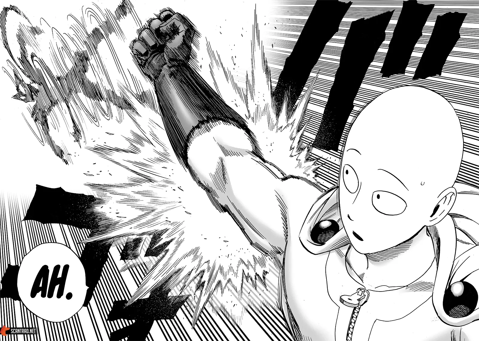 One Punch Man - 218 - 6551455063689.webp